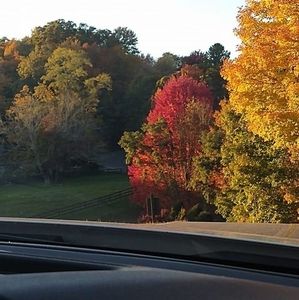 Meet your Posher, Gary